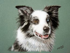 Hundeportraits in Pastellkreide / Dog portraits in soft pastels (16 cm x 24 cm)