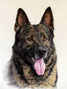 Hundezeichnungen in Pastellkreide / Dog paintings in soft pastels (30 cm x 40 cm)