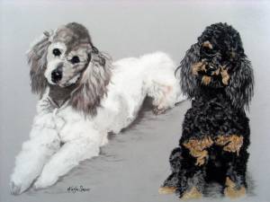 Hundeportraits in Pastellkreide / Dog portraits in soft pastels (30 cm x 40 cm)