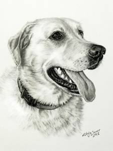 Hundezeichnungen in Kohle / Dog paintings in charcoal (15 cm x 21 cm)
