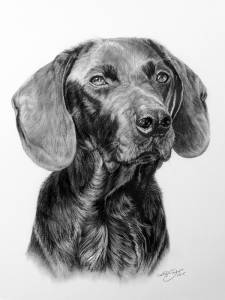 Hundeportraits in Kohle / Dog portraits in charcoal (30 cm x 40 cm)