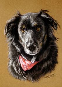 Hundezeichnungen in Pastellkreide / Dog paintings in soft pastels (16 cm x 24 cm)
