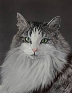 Katzenzeichnungen in Pastellkreide / Cat portraits in soft pastels (30 cm x 40 cm)