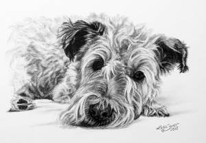 Hundeportraits in Kohle / Dog portraits in charcoal (15 cm x 21 cm)