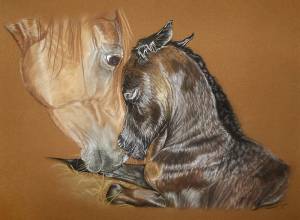 Pferdezeichnungen in Pastellkreide / Horse paintings in soft pastels (40 cm x 50 cm)