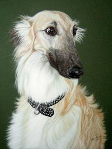 Hundeportraits in Pastellkreide / Dog portraits in soft pastels (30 cm x 40 cm)
