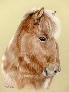 Pferdezeichnungen in Pastellkreide / Horse paintings in soft pastels (24 cm x 32 cm)