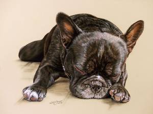 Hundezeichnungen in Pastellkreide / Dog paintings in soft pastels (24 cm x 32 cm)