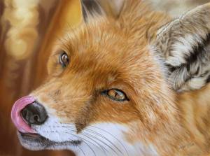 Wildtiere in Pastellkreide / Wildlife in soft pastels (30 cm x 40 cm)