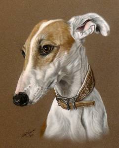Hundezeichnungen in Pastellkreide / Dog paintings in soft pastels (24 cm x 32 cm)