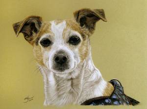 Hundeportraits in Pastellkreide / Dog portraits in soft pastels (30 cm x 40 cm)