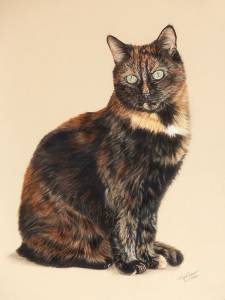 Katzenportraits in Pastellkreide / Cat portraits in soft pastels (40 cm x 50 cm)