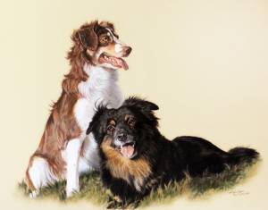 Hundezeichnungen in Pastellkreide / Dog paintings in soft pastels (40 cm x 50 cm)