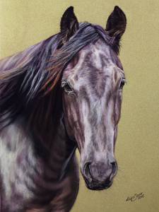 Pferdezeichnungen in Pastellkreide / Horse paintings in soft pastels (24 cm x 32 cm)