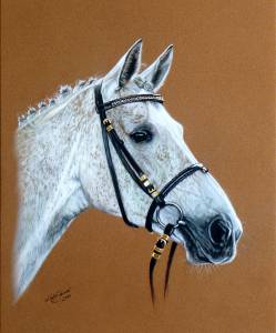 Pferdeportraits in Pastellkreide / Horse portraits in soft pastels (24 cm x 32 cm)