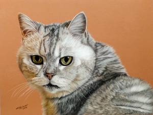 Katzenportraits in Pastellkreide / Cat portraits in soft pastels (30 cm x 40 cm)
