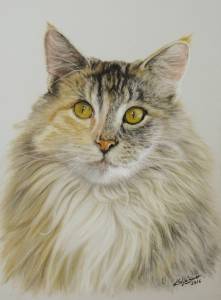 Katzenzeichnungen in Pastellkreide / Cat portraits in soft pastels (16 cm x 24 cm)