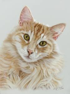 Katzenportraits in Pastellkreide / Cat portraits in soft pastels (16 cm x 24 cm)