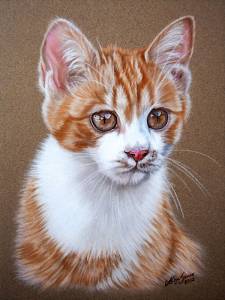 Katzenzeichnungen in Pastellkreide / Cat drawings in soft pastels (16 cm x 24 cm)