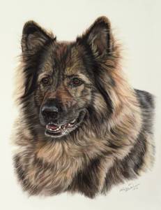 Hundezeichnungen in Pastellkreide / Dog paintings in soft pastels (30 cm x 40 cm)