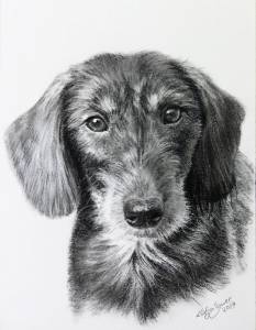 Hundezeichnungen in Kohle / Dog paintings in charcoal (15 cm x 21 cm)