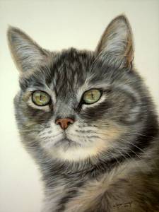 Katzenzeichnungen in Pastellkreide / Cat drawings in soft pastels (24 cm x 32 cm)