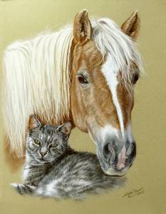 Pferdezeichnungen in Pastellkreide / Horse paintings in soft pastels (30 cm x 40 cm)