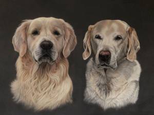 Hundeportraits in Pastellkreide / Dog paintings in soft pastels (50 cm x 70 cm)