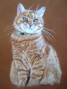 Katzenzeichnungen / Cat paintings - SAMMY ♥
