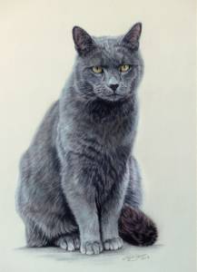 Katzenzeichnungen in Pastellkreide / Cat portraits in soft pastels (24 cm x 32 cm)