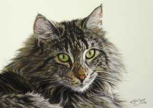 Katzenzeichnungen in Pastellkreide / Cat portraits in soft pastels (16 cm x 24 cm)
