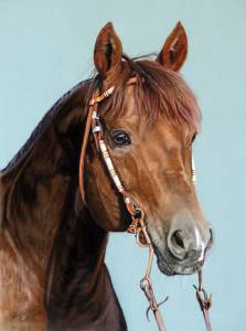 Pferdezeichnungen in Pastellkreide / Horse paintings in soft pastels (24 cm x 32 cm)
