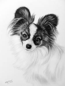 Hundeportraits in Kohle / Dog portraits in charcoal (21 cm x 30 cm)