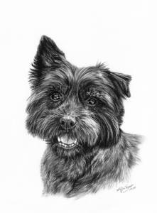 Hundezeichnungen in Kohle / Dog paintings in charcoal (21 cm x 30 cm)