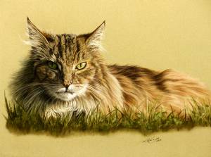 Katzenportraits in Pastellkreide / Cat portraits in soft pastels (30 cm x 40 cm)