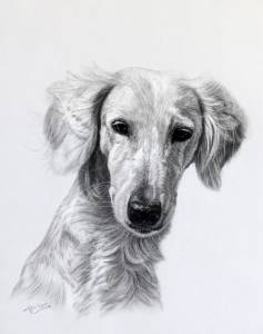 Hundezeichnungen in Kohle / Dog paintings in charcoal (30 cm x 40 cm)