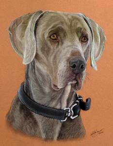 Hundezeichnungen in Pastellkreide - Dog paintings in soft pastels (24 cm x 32 cm)