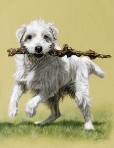 Hundezeichnungen in Pastellkreide / Dog paintings in soft pastels (24 cm x 32 cm)