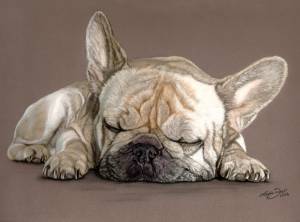 Hundezeichnungen in Pastellkreide / Dog paintings in soft pastels (24 cm x 32 cm)