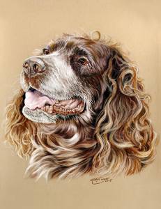 Hundezeichnungen in Pastellkreide / Dog paintings in soft pastels (24 cm x 32 cm)