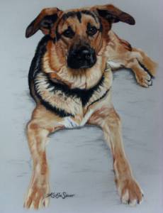 Hundeportraits in Pastellkreide / Dog portraits in soft pastels (30 cm x 40 cm)