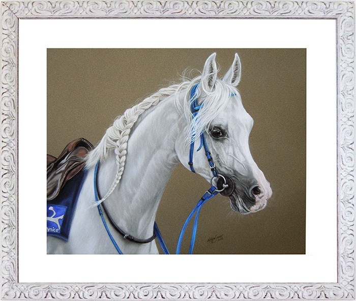 Animal drawings and horse drawings in soft pastels - horse paintings by Katja Sauer