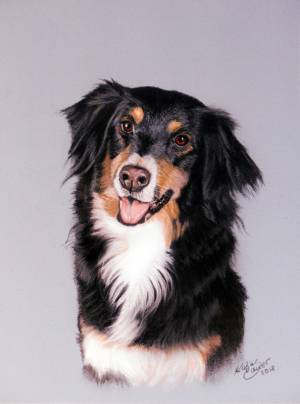 Hundeportraits in Pastellkreide / Dog paintings in soft pastels (18 cm x 24 cm)