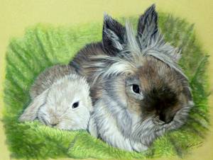 Hasenzeichnungen in Pastellkreide / Rabbit paintings in soft pastels (24 cm x 32 cm)