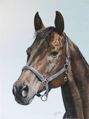 Pferdeportraits in Pastellkreide / Horse paintings in soft pastels (30 cm x 40 cm)