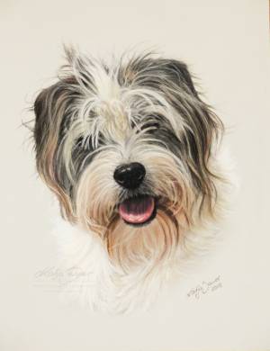 Hundezeichnungen in Pastellkreide / Dog paintings in soft pastels (18 cm x 24 cm)