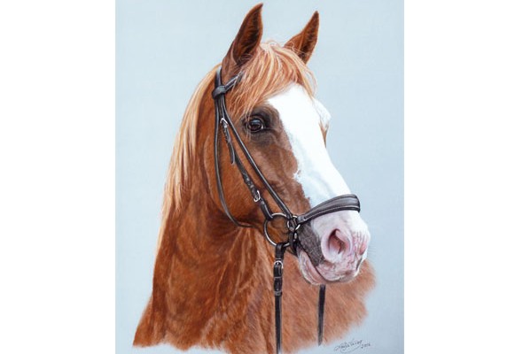 Horse paintings and horse portraits by Katja Sauer