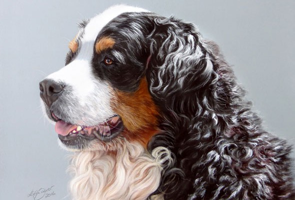 Dog paintings and dog portraits by Katja Sauer