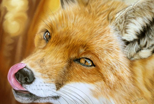 Wildlife paintings and wildlife portraits by Katja Sauer