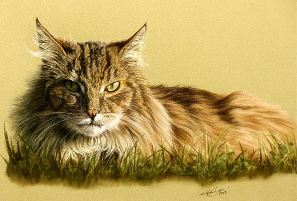 Cat paintings and cat portraits by Katja Sauer